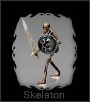 Skeleton